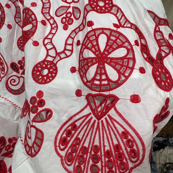 FARM Rio White Maxi Dress with Red Floral Embroidery - Picture 5 of 5